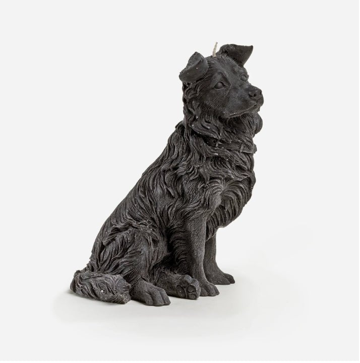 Border Collie Candle (Black) - Love Ally