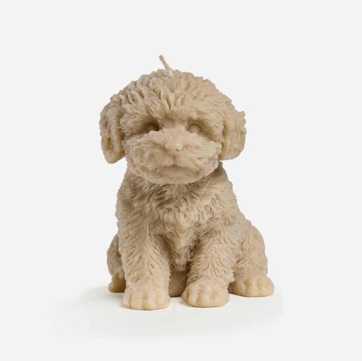 Cavoodle Candle (Brown) - Love Ally