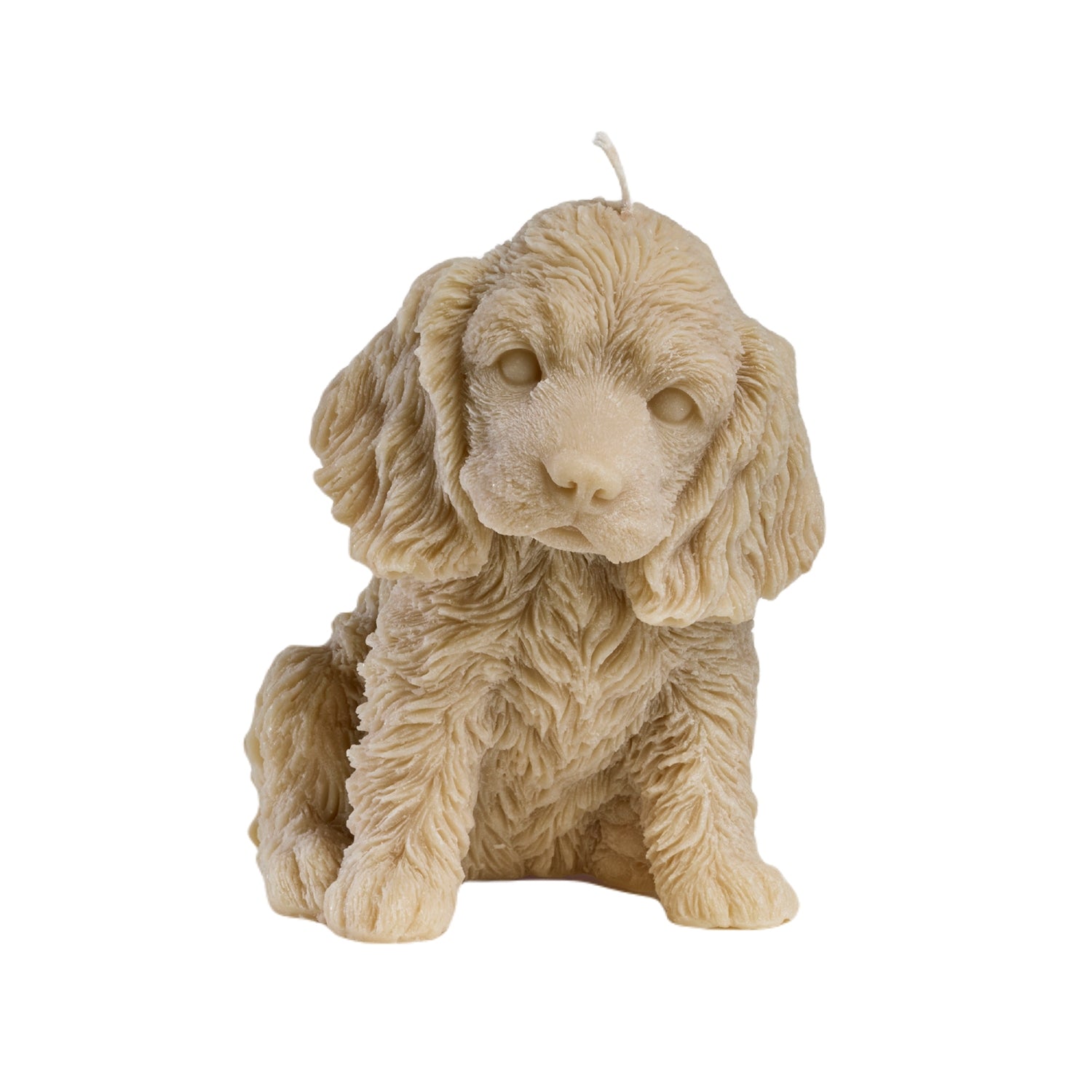 Cocker Spaniel Candle Blonde - Love Ally